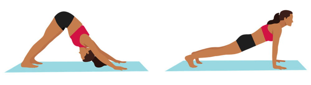 Downward Dog to Plank Flow 3